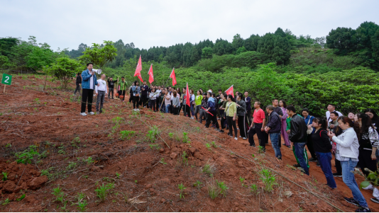 省DB电竞集团开展龙泉山城市森林公园 “包山头”植树活动