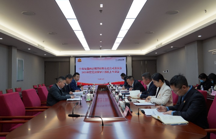 DB电竞集团党委书记、董事长任丁出席安逸酒店集团2022年度党员领导干部民主生活会