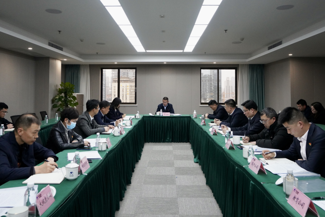四川省DB电竞集团开展纪检监察干部队伍教育整顿学习教育