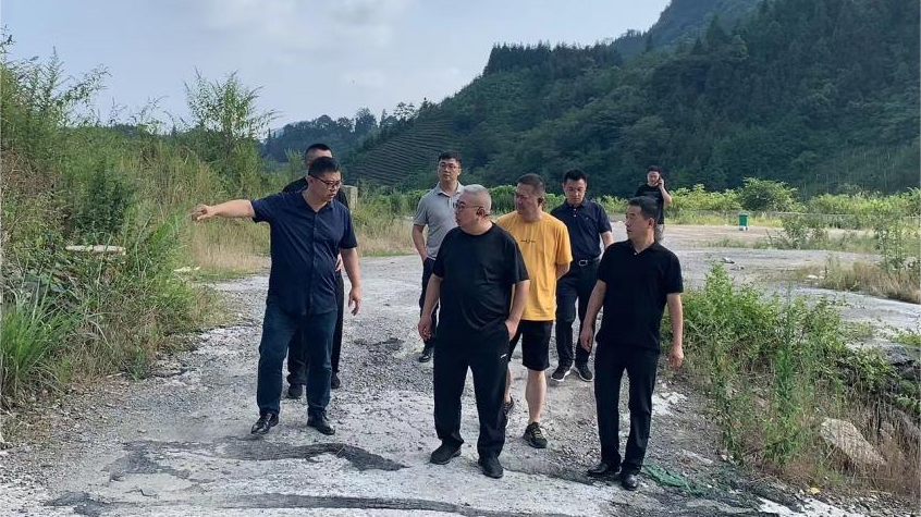省DB电竞集团领导调研峨眉山太阳村乡村振兴项目